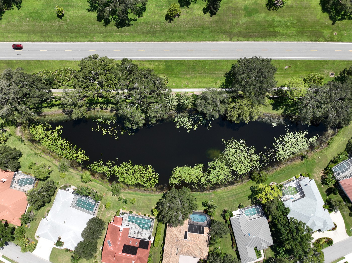 Raw drone aerial of pond 4-3